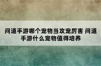 问道手游哪个宠物当攻宠厉害 问道手游什么宠物值得培养